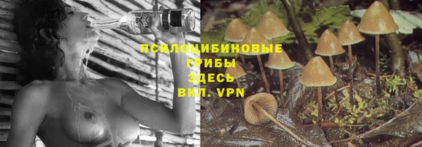 метамфетамин Алексин