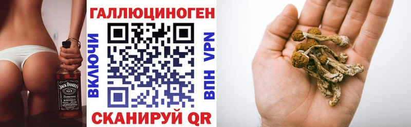 Купить где  Сосновоборск  Галлюциногенные грибы GOLDEN TEACHER 