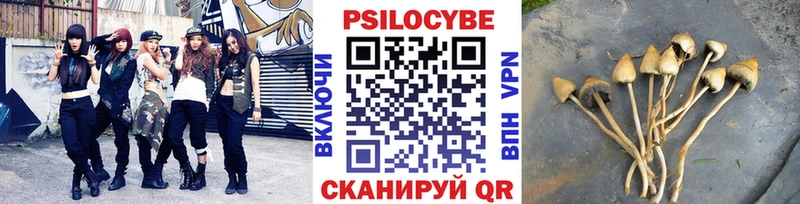 Галлюциногенные грибы мицелий Сосновоборск